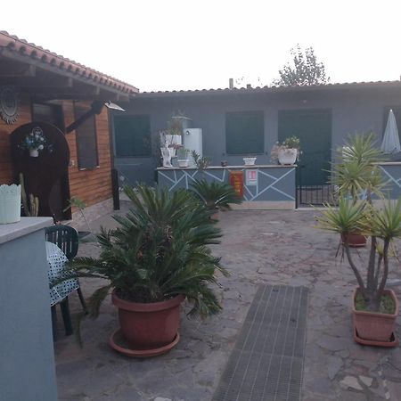 Aquila Di Mare Villa Fiumicino Room photo